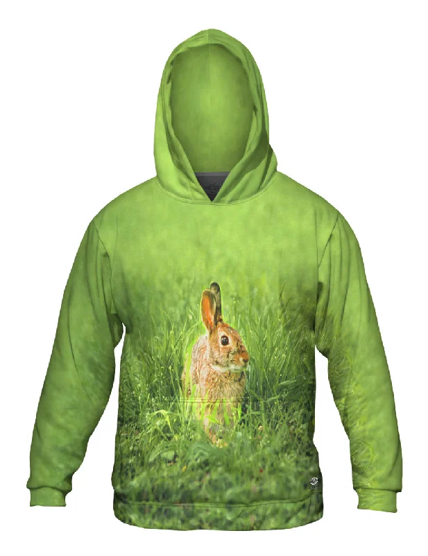 Peter Rabbit Masculine Men's Thick